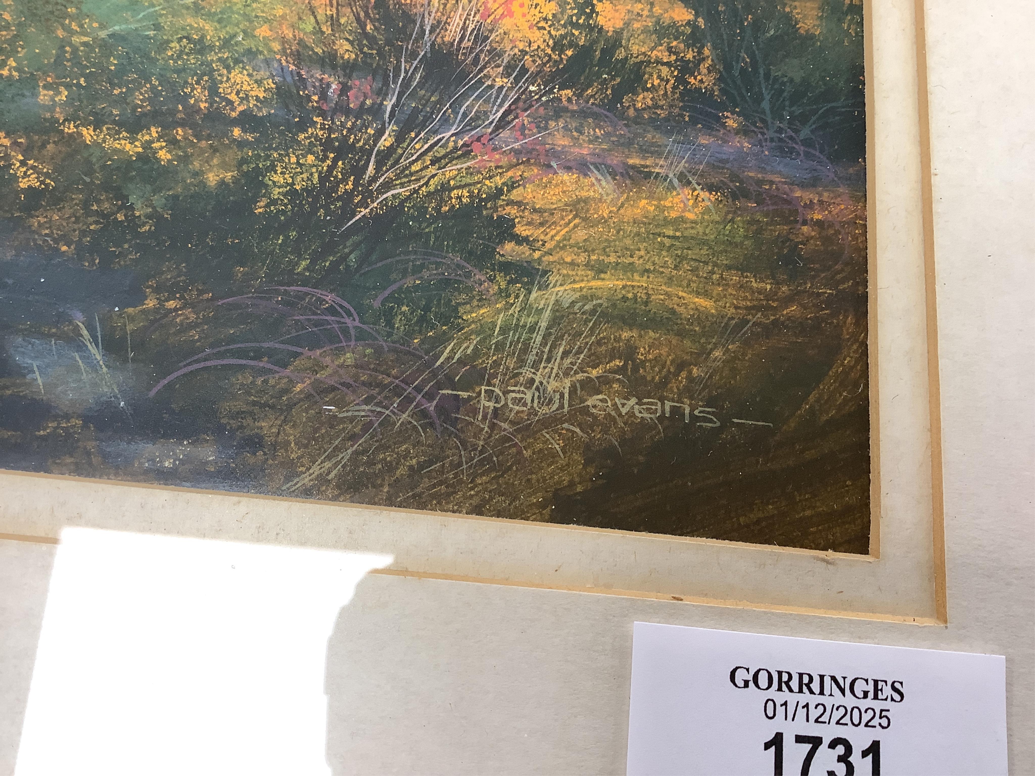 Paul Evans (b.1950), ‘Evening Magic’, signed, Chichester House Gallery inscribed label verso, gouache, 32 x 46cm